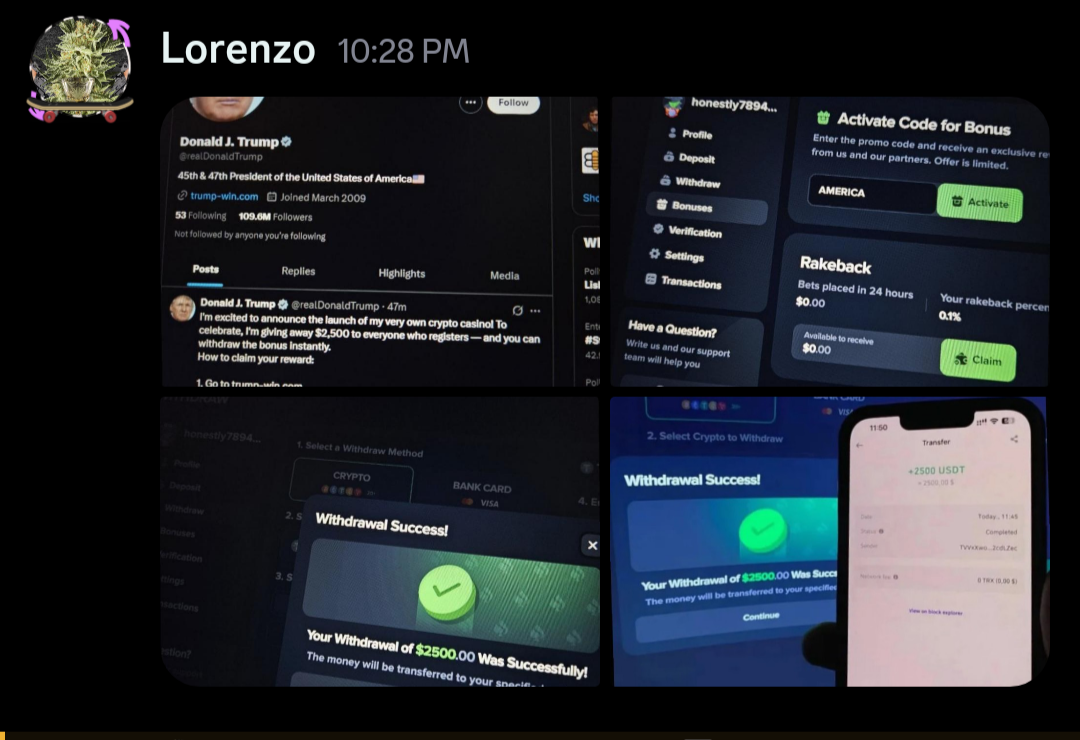 Discord Crypto Scam